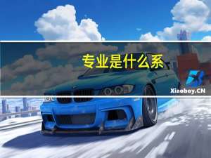 专业是什么系
