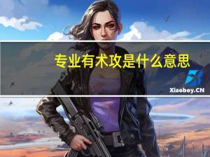 专业有术攻是什么意思