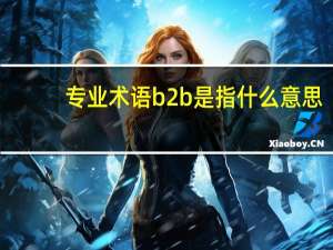 专业术语b2b是指什么意思