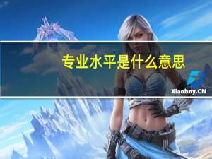专业水平是什么意思
