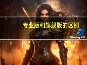 专业版和旗舰版的区别
