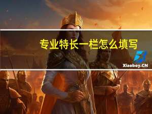 专业特长一栏怎么填写