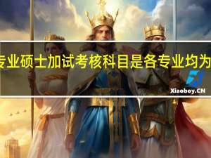 专业硕士加试考核科目是各专业均为两门吗