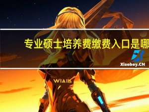 专业硕士培养费缴费入口是哪