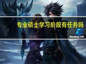 专业硕士学习阶段有任务吗