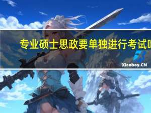 专业硕士思政要单独进行考试吗
