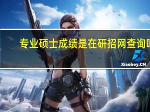 专业硕士成绩是在研招网查询吗
