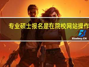 专业硕士报名是在院校网站操作吗