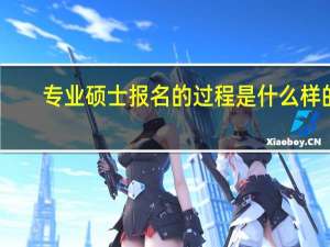 专业硕士报名的过程是什么样的