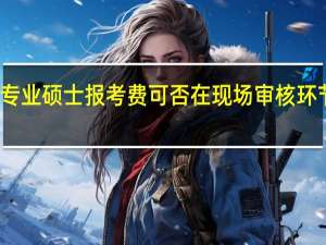 专业硕士报考费可否在现场审核环节缴纳