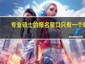 专业硕士的报名窗口只有一个吗