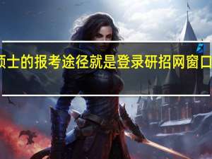 专业硕士的报考途径就是登录研招网窗口提交申请吗