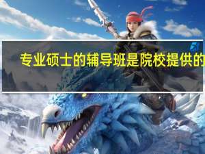 专业硕士的辅导班是院校提供的吗