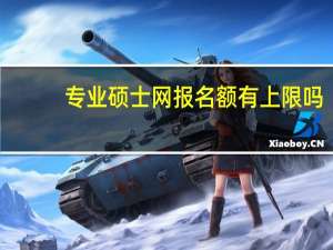 专业硕士网报名额有上限吗