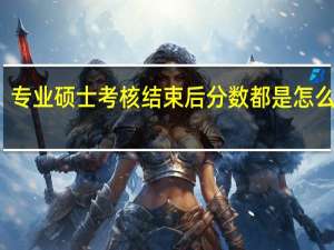 专业硕士考核结束后分数都是怎么查的