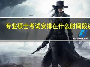 专业硕士考试安排在什么时间段进行