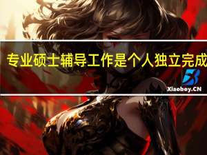 专业硕士辅导工作是个人独立完成的吗