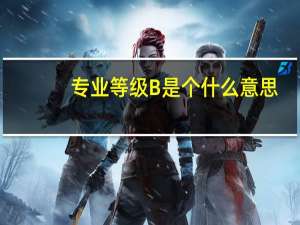 专业等级B是个什么意思