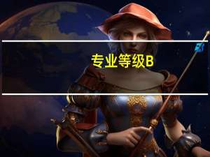 专业等级B-是什么意思