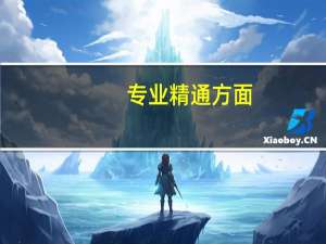 专业精通方面