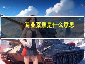 专业素质是什么意思
