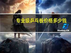 专业级乒乓板价格多少钱