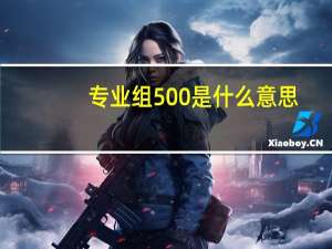 专业组500是什么意思
