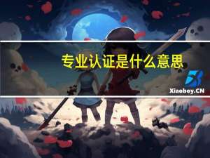 专业认证是什么意思
