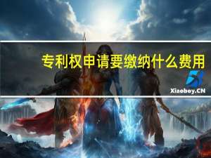 专利权申请要缴纳什么费用