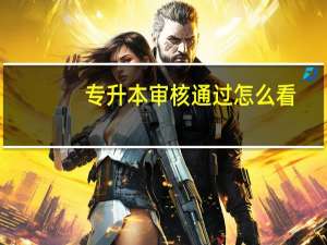 专升本审核通过怎么看