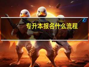 专升本报名什么流程