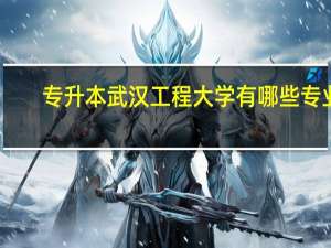 专升本武汉工程大学有哪些专业