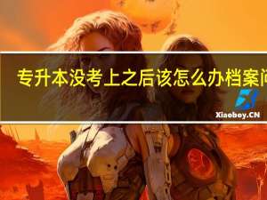 专升本没考上之后该怎么办档案问题，到哪里办