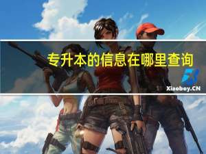 专升本的信息在哪里查询