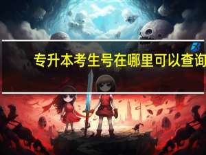 专升本考生号在哪里可以查询