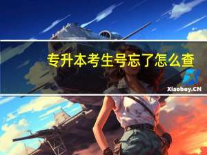 专升本考生号忘了怎么查