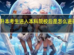 专升本考生进入本科院校后是怎么进行学习的