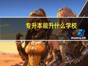 专升本能升什么学校
