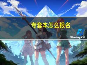 专套本怎么报名