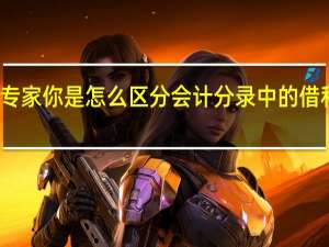 专家你是怎么区分会计分录中的借和贷的