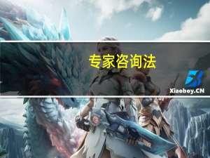 专家咨询法（专家咨询法）