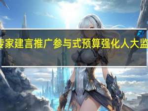 专家建言推广参与式预算 强化人大监督作用