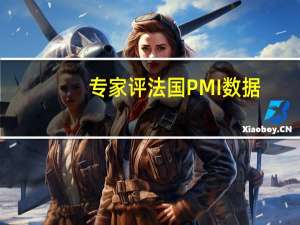专家评法国PMI数据：制造业萎缩持续第四季度或小幅增长