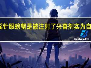 专家辟谣针眼螃蟹是被注射了兴奋剂 实为自然伤口非人为