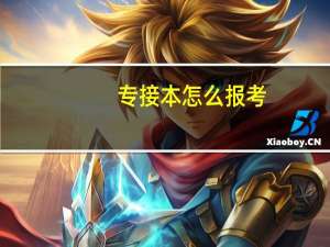 专接本怎么报考