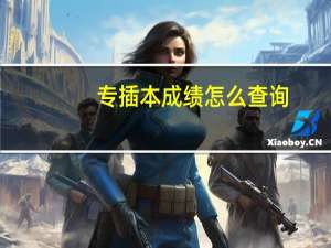 专插本成绩怎么查询