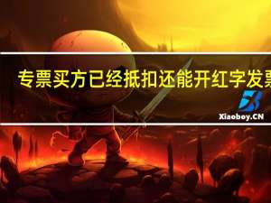 专票买方已经抵扣还能开红字发票吗（购买方已经抵扣的专票开红字流程）