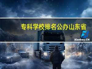 专科学校排名公办山东省
