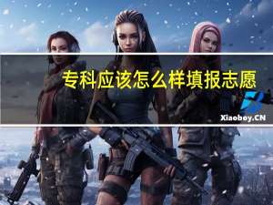 专科应该怎么样填报志愿