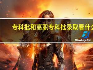 专科批和高职专科批录取看什么